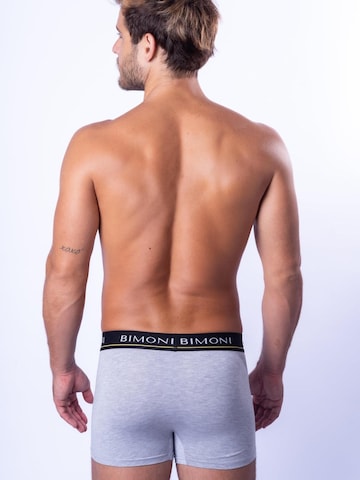 BIMONI Boxer shorts in Grey