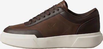 Baskets basses Calvin Klein en marron : devant