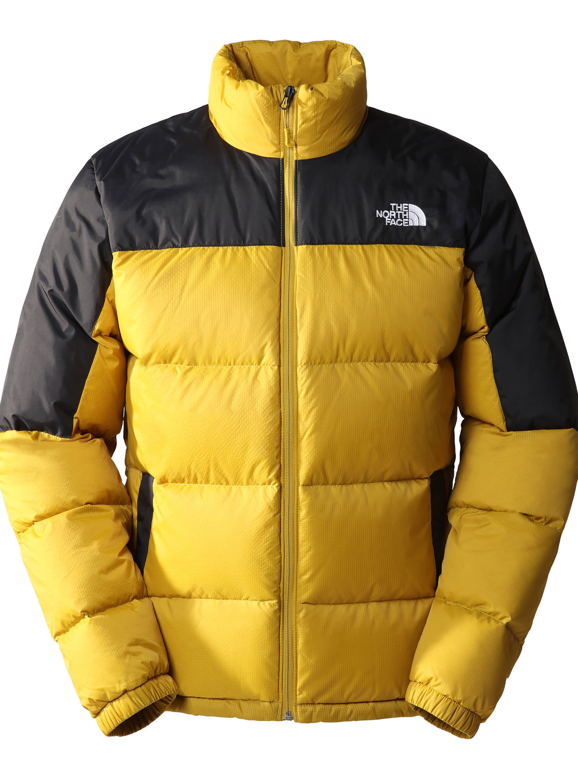 Aukso Geltonumo Spalva THE NORTH FACE 