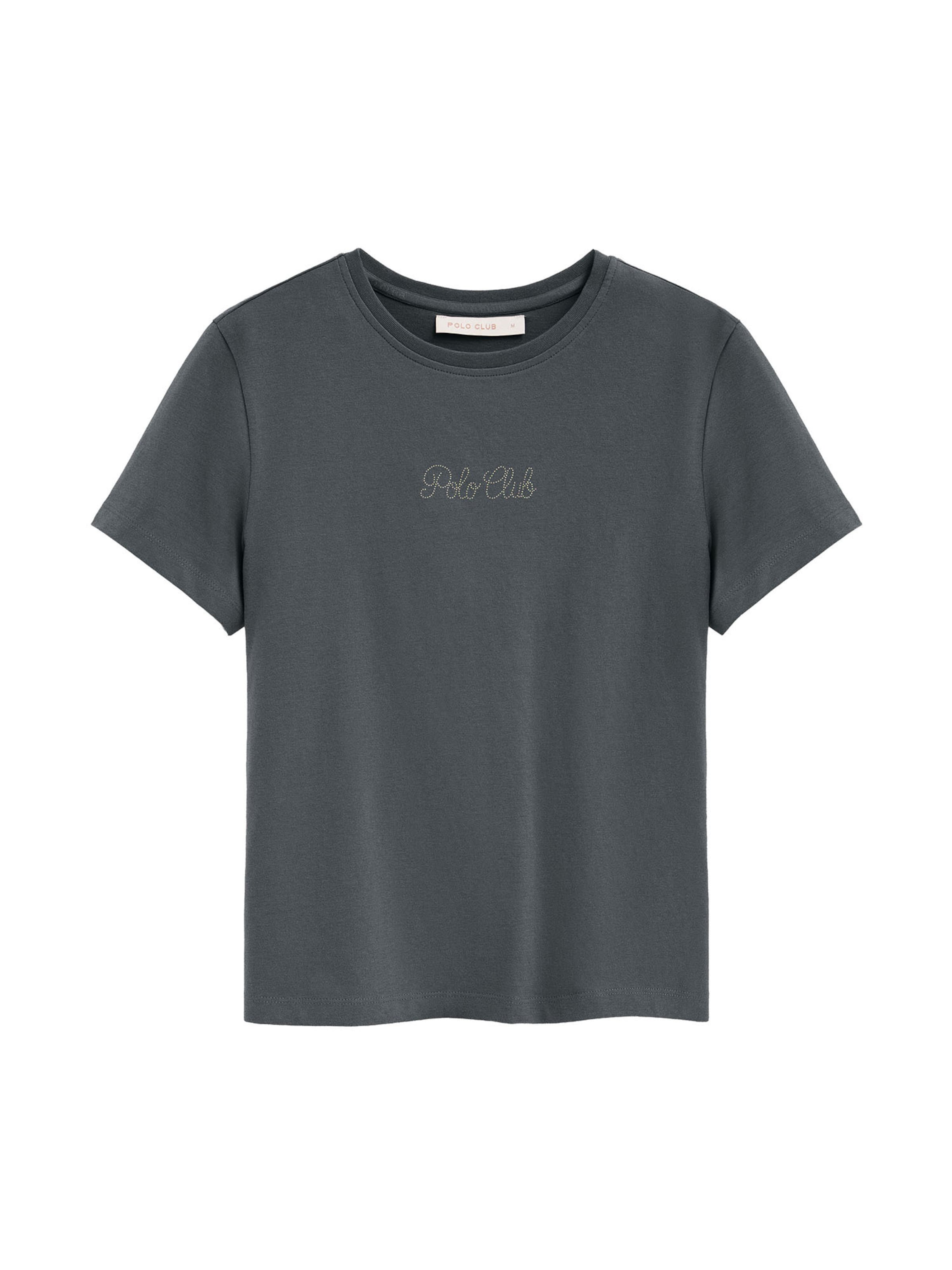 Polo Club Shirt 'Lunas' in Grey: front