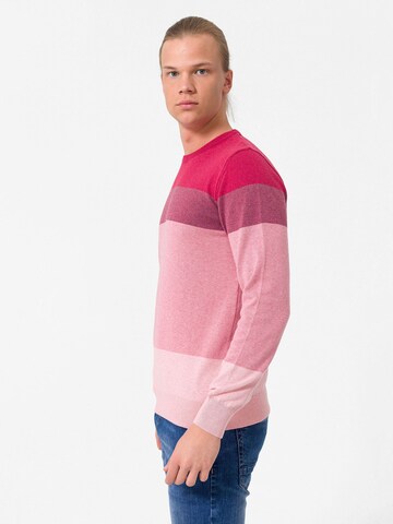 Dandalo Pullover in Pink