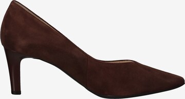 Högl Pumps in Brown