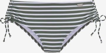 VENICE BEACH Bikinové nohavičky - Zelená: predná strana
