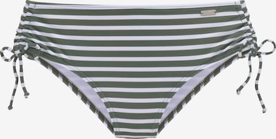 Slip costum de baie VENICE BEACH pe verde pin / alb, Vizualizare produs