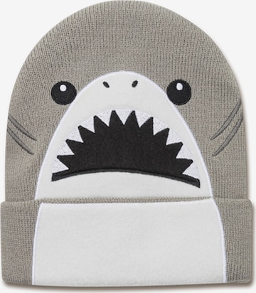 koaa Mütze in Grau: Vorderseite