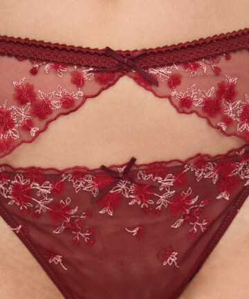 Hunkemöller Strumpfhalter 'Chloe' in Rot