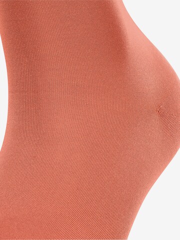 Chaussettes FALKE en orange