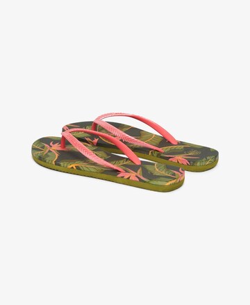 Tongs Superdry en rose