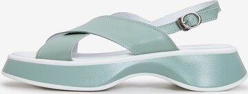 CESARE GASPARI Sandals in Green: front