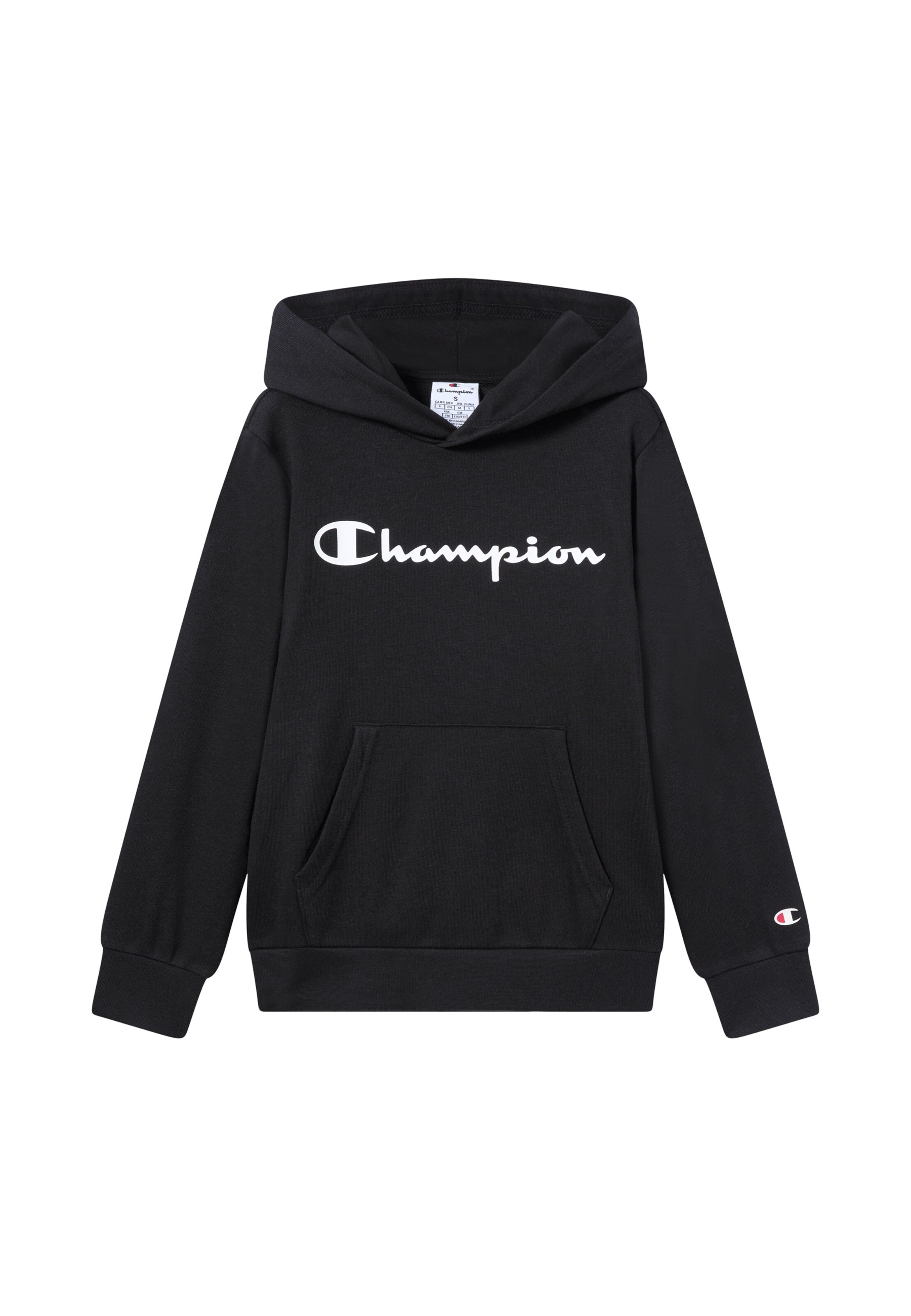 Champion Authentic Athletic Apparel Sweatshirt in Black: front