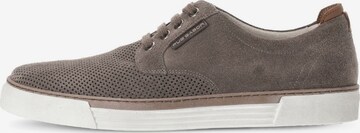 Pius Gabor Sneaker low in Grau: predná strana