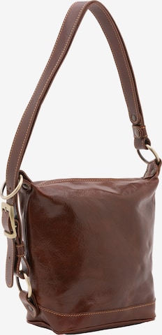 Viola Castellani Pouch in Brown: front