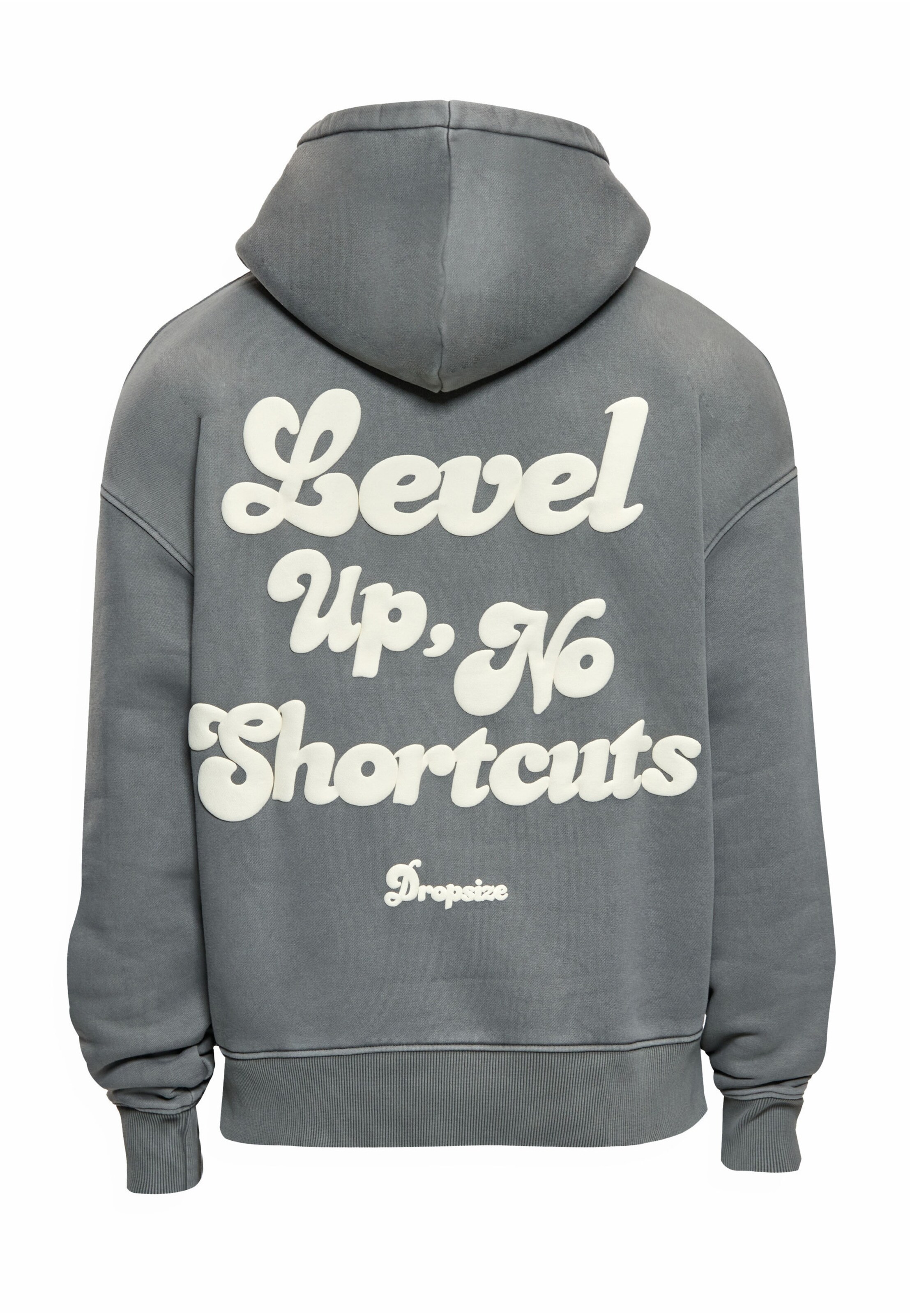 Dropsize Sweatshirt in Grau