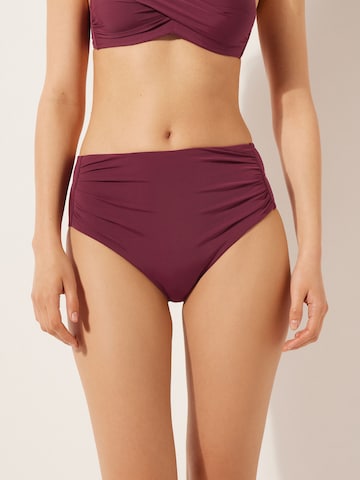 CALZEDONIA Bikini Bottoms 'Indonesia' in Red: front