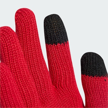 ADIDAS PERFORMANCE Sporthandschoenen 'FC Liverpool' in Rood