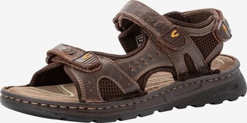 CAMEL ACTIVE Sandals in Brown: front