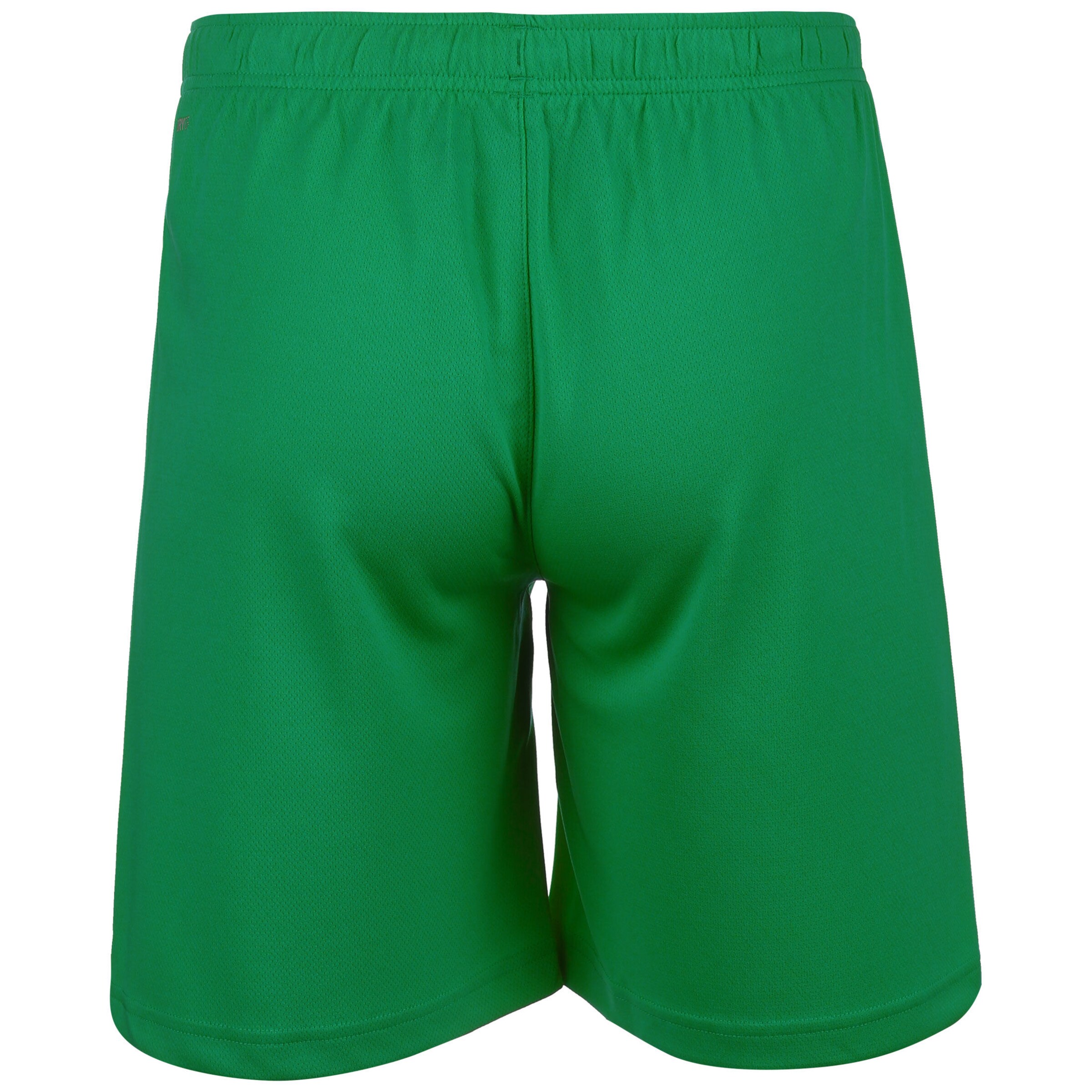 PUMA Regular Workout Pants 'TeamRise' in Green