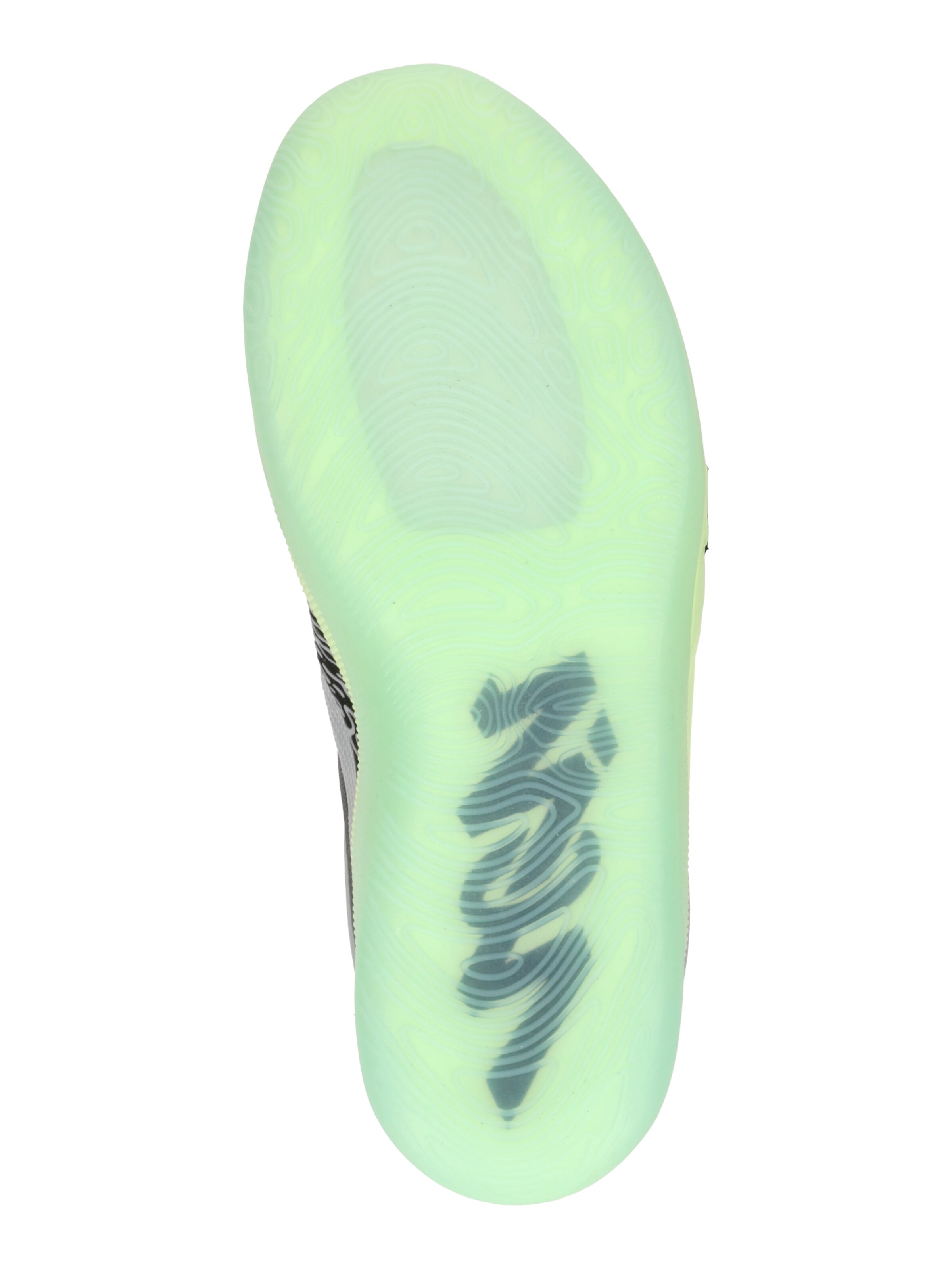 Jordan Sportssko 'ZION 4' i grå: bund