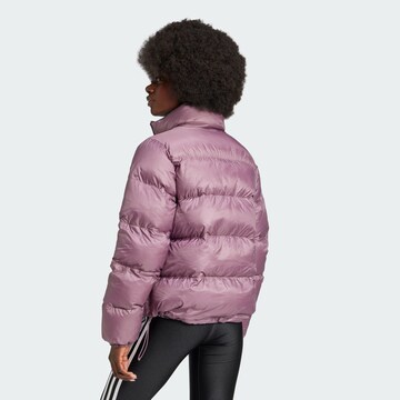 ADIDAS ORIGINALS Winter jacket 'Adicolor' in Purple