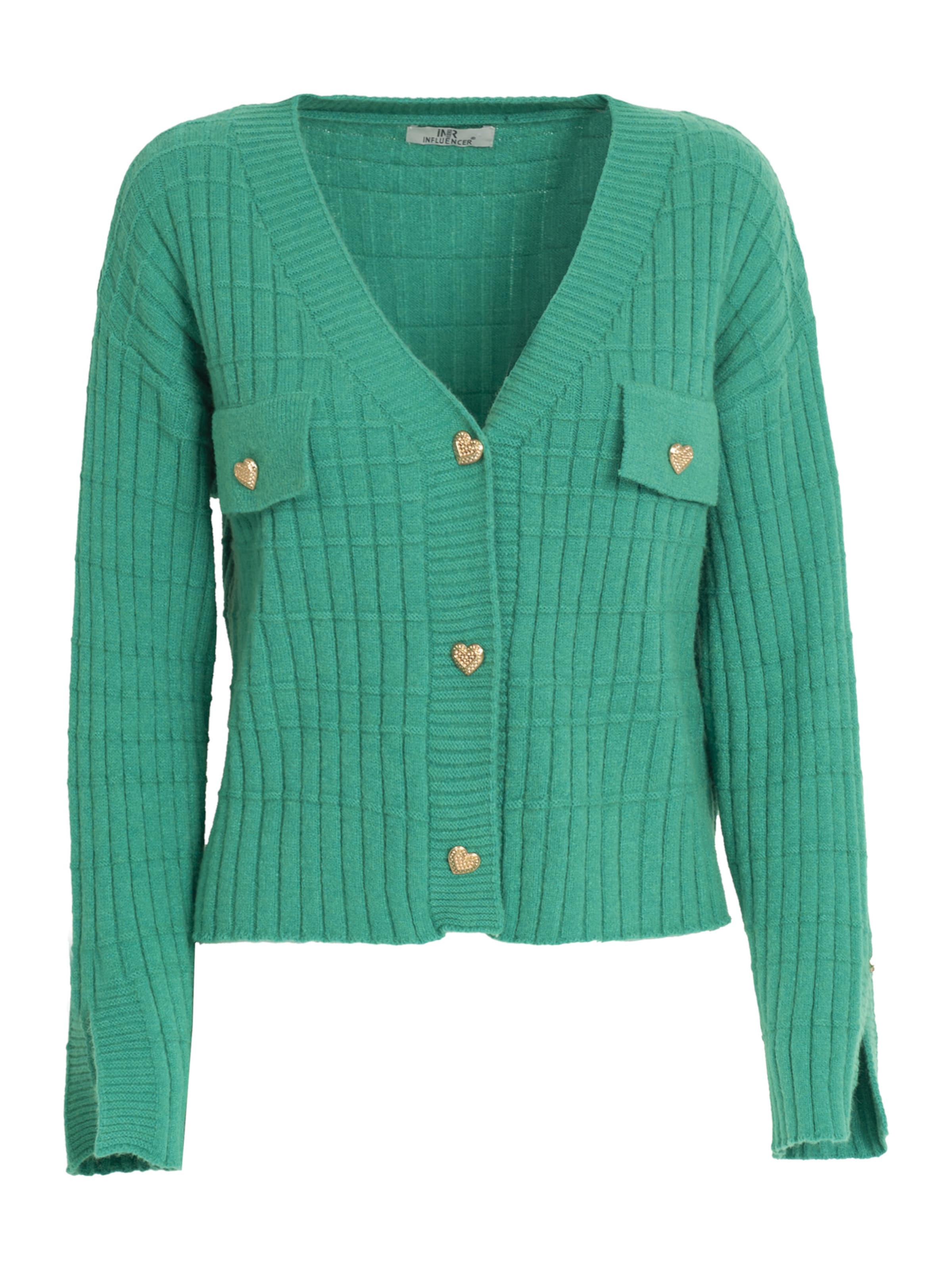 Influencer Πλεκτή ζακέτα 'Fancy' σε πράσινο: μπροστά