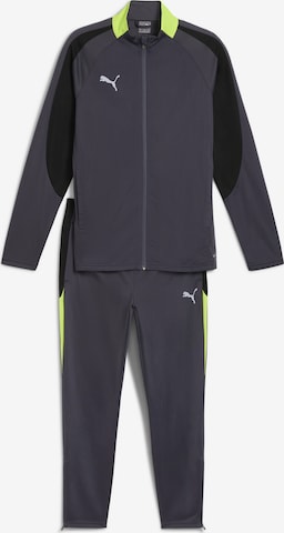 PUMA Tracksuit 'Individual Liga' in Grey: front