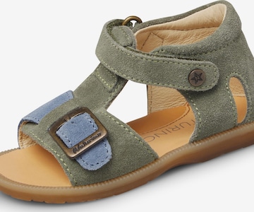 NATURINO Open schoenen 'QUARZO' in Gemengde kleuren: voorkant