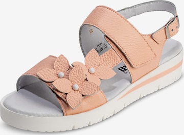 VITAFORM Sandaal in Roze: voorkant