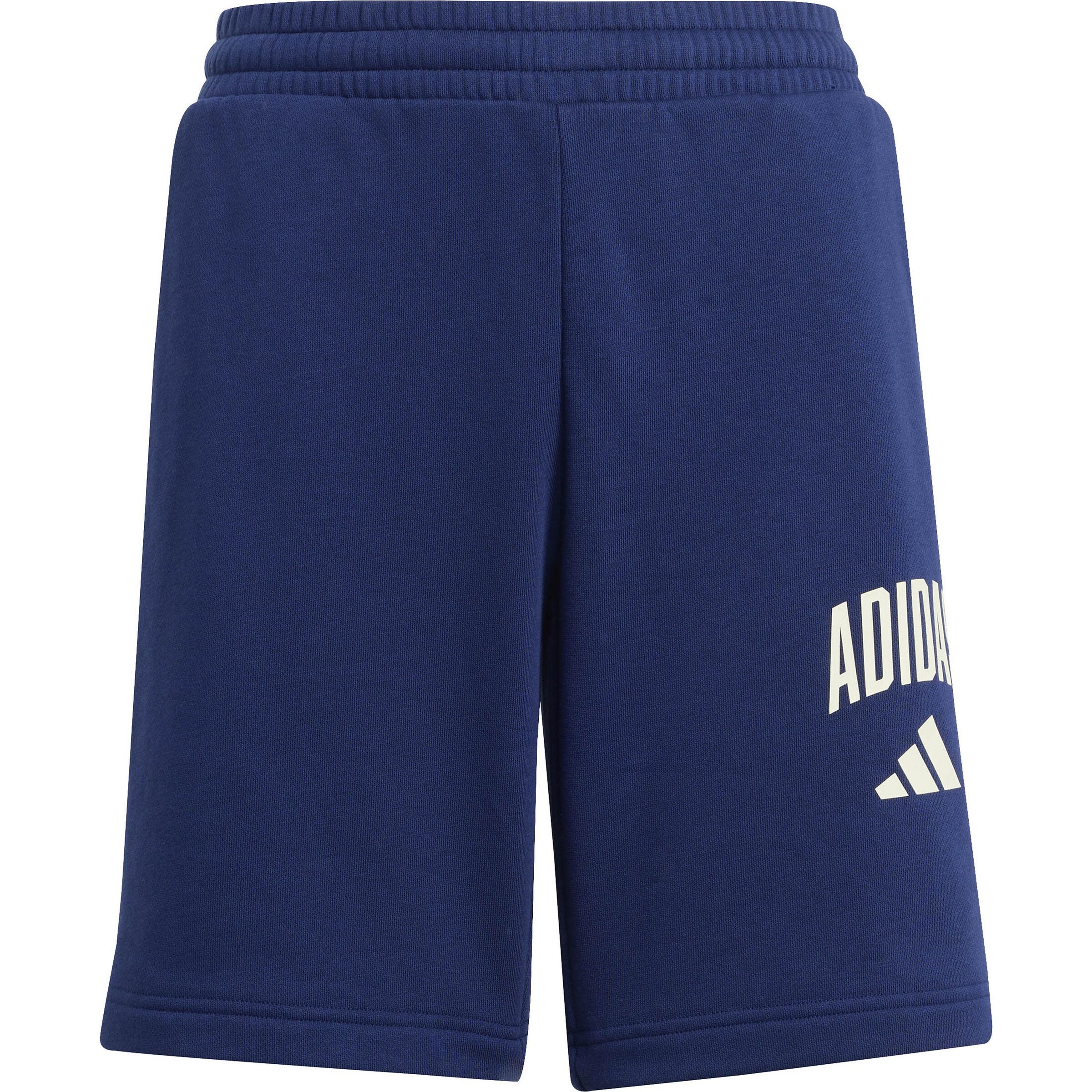 ADIDAS SPORTSWEAR Workout Pants 'Seasonals Collegiate' in Blue: front
