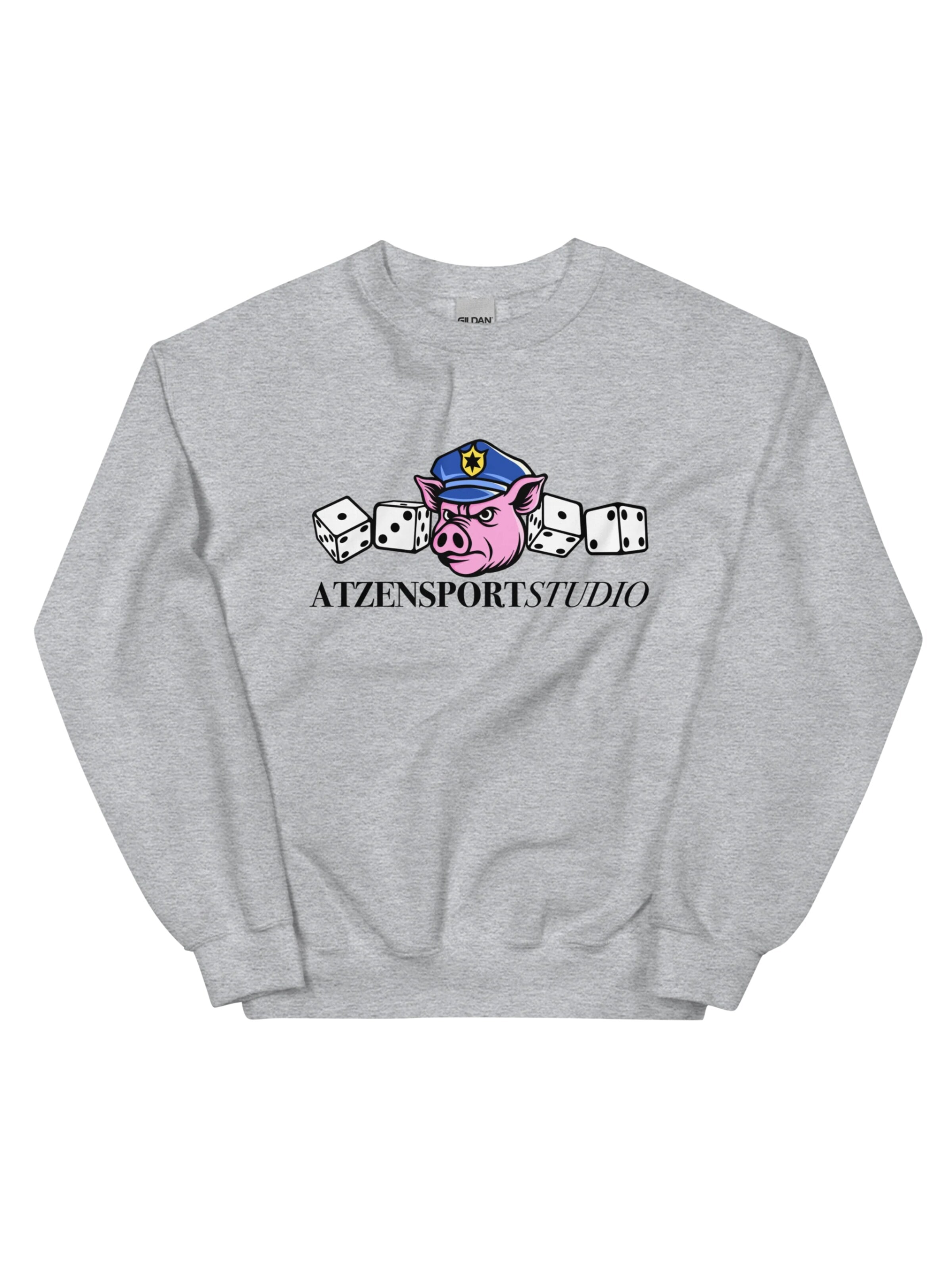ATZENSPORT Sweater 'ACAB' in Grey: front