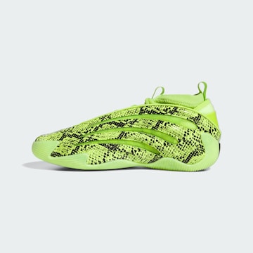 ADIDAS PERFORMANCE Sportschuh 'Harden Volume 9' in Grün