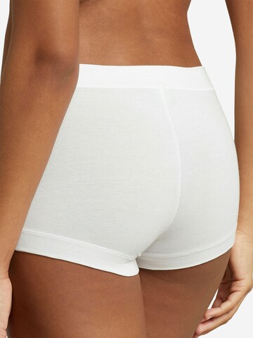 Culotte ' Club Cotton ' Polo Ralph Lauren en blanc