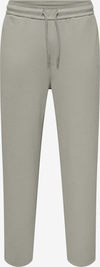 Only & Sons Hlače 'Newkodyl' u bež siva, Pregled proizvoda