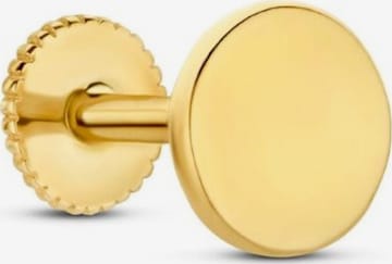 Boucles d'oreilles ' BO370001' Beloro Jewels en or : devant