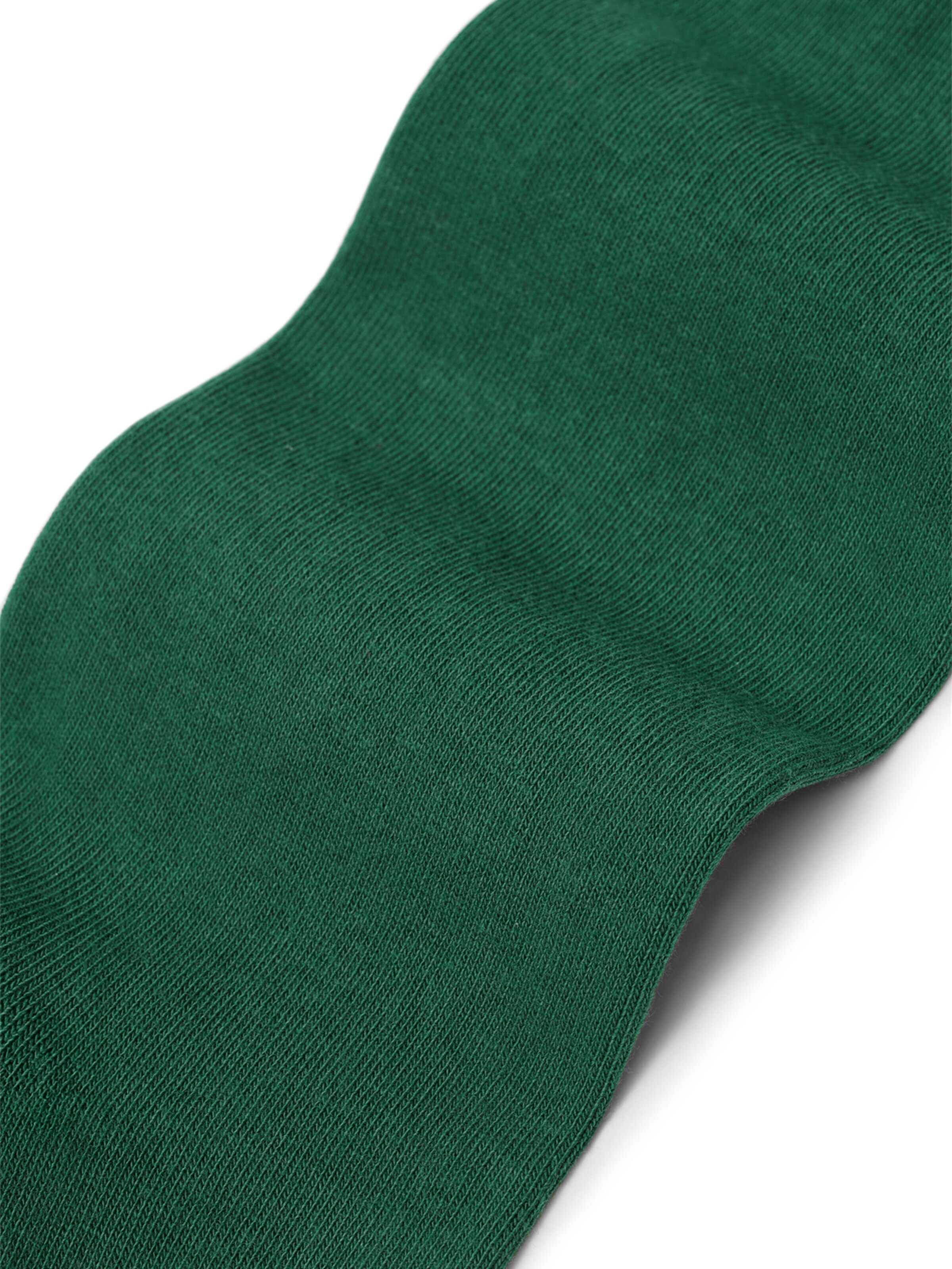 Von Jungfeld Socks 'SIGNATURE' in Green