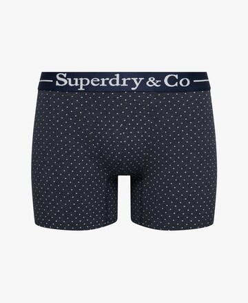 Superdry & Co Boxer shorts in Blue