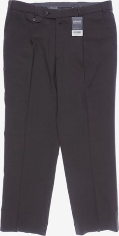 Walbusch Pants in 38 in Brown: front