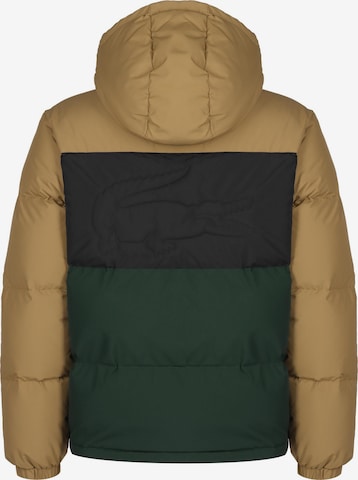 LACOSTE Winterjacke in Mischfarben