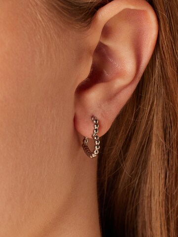 Lucardi Oorbellen in Zilver: voorkant