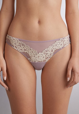 INTIMISSIMI Thong in Purple: front