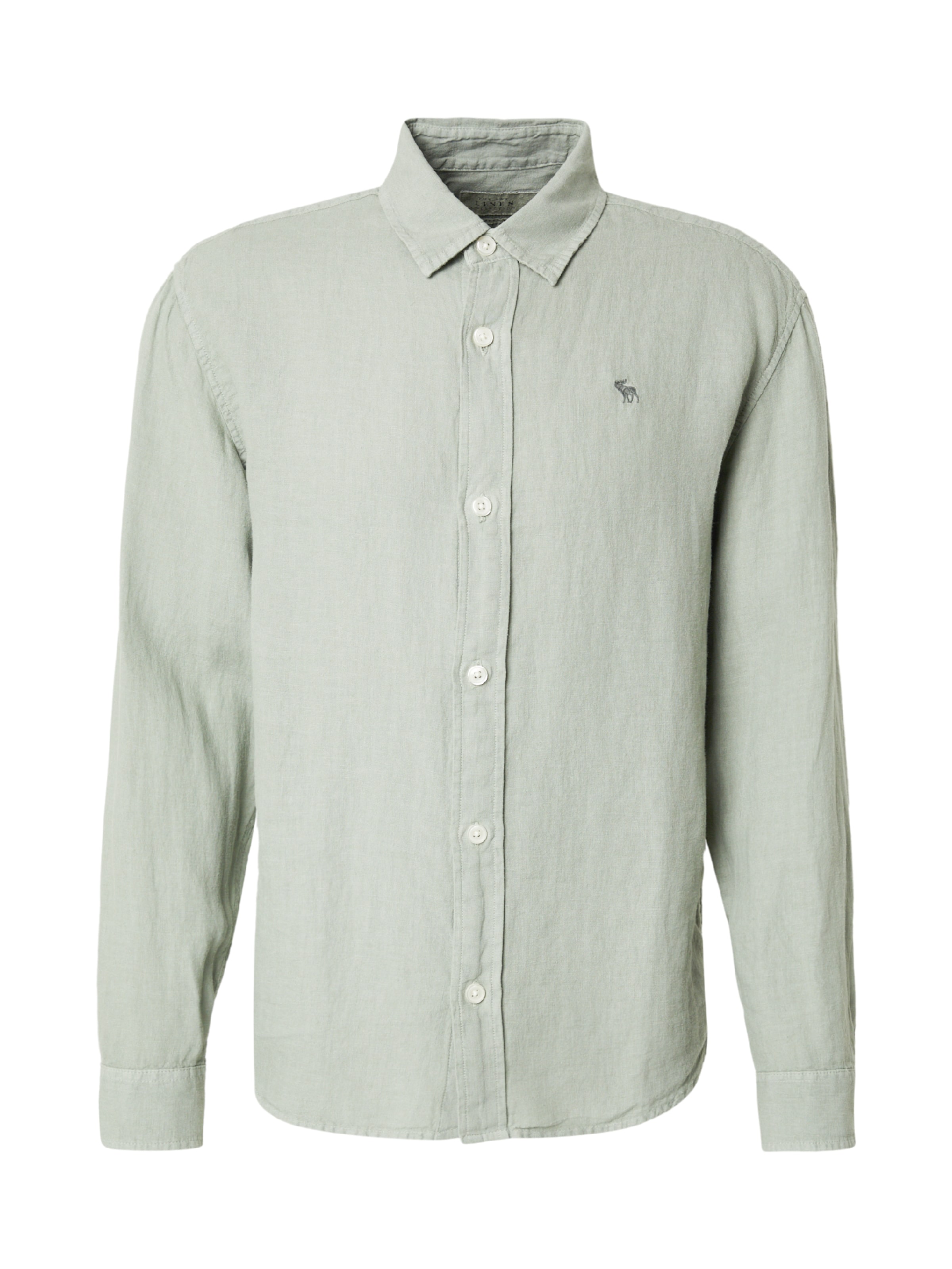 Abercrombie & Fitch Skjorta 'FEB4' i pastellgrön, Produktvy