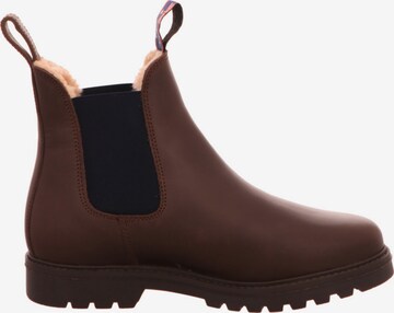 Blue Heeler Chelsea Boots in Brown