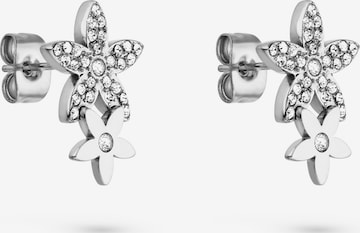 Tamaris Earrings in Silver: front