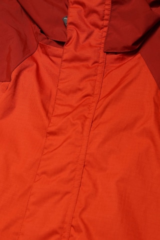 Big Bear Jacket & Coat in M in Orange
