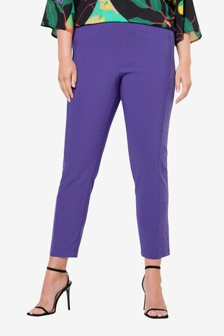 MIAMODA Slim fit Pants in Purple: front