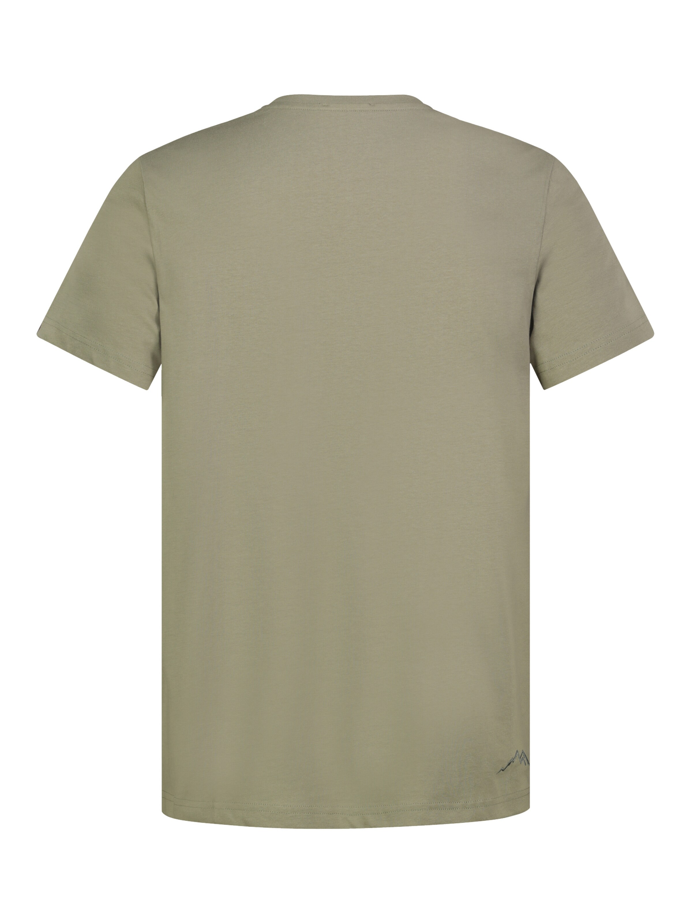 Sublevel T-Shirt in Grün