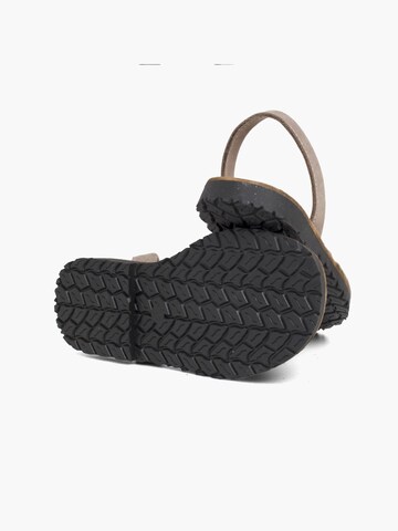 Pisamonas Sandale‌ in Grau