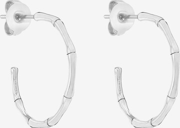 Boucles d'oreilles TAMARIS en argent : devant