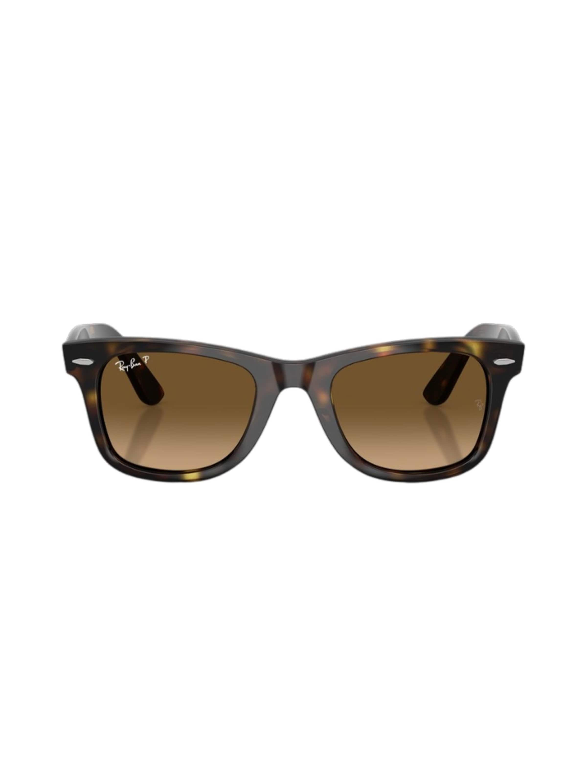 Ray-Ban Sunglasses in Brown: front