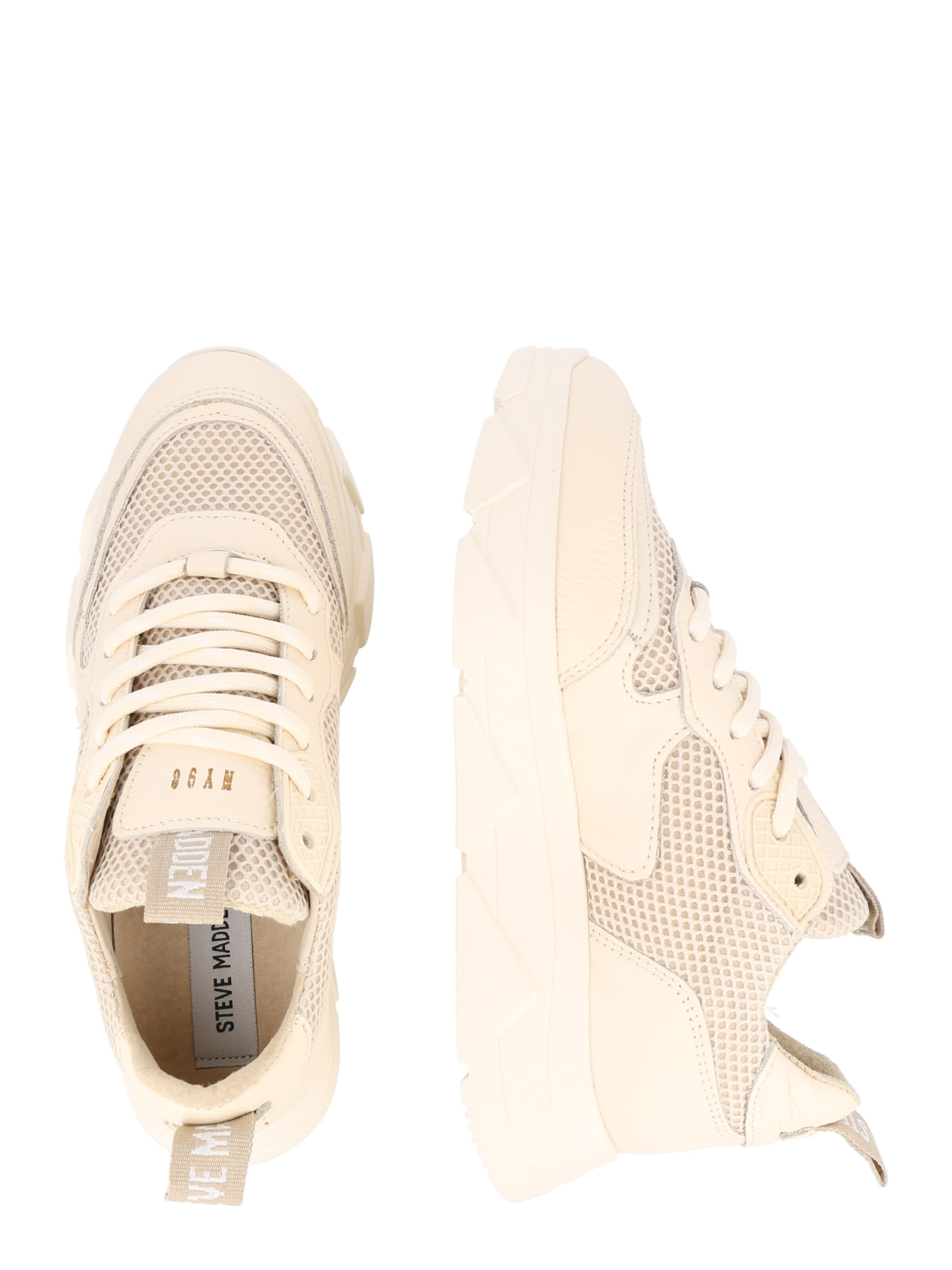 STEVE MADDEN Sneaker 'Pitty' in Beige