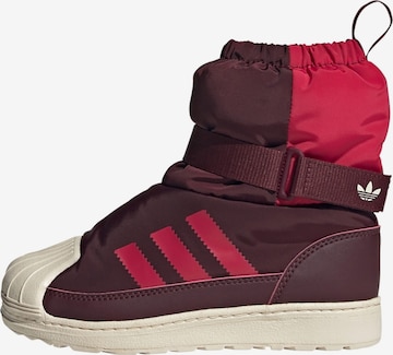 ADIDAS ORIGINALS Snow boots 'Superstar 360' in Brown: front